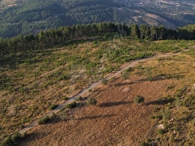 BUCAK KUZPINARDA SONDAJLI HAVUZLU YAZLIK