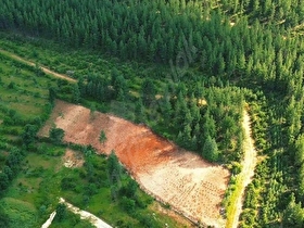 BUCAK BEŞ KONAKTA 6.500 M2 ARSA