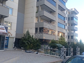 2+1 kat bahçeli