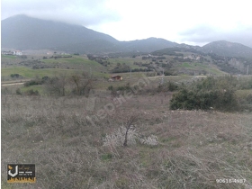 BY ÜNALDAN DÖŞEMEALTI BADEMAĞACINDA 459 m2 SATILIK ARSA