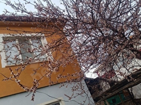 Orhangazi mahallesi 2 katlı yapılı 4 kata imarlı 305 M2 arsası