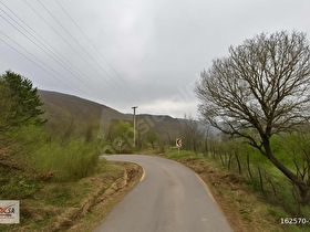 Geyve Fındıksuyu 7283 m2 imarlı arsa ve 6+2 484 m2 müstakil ev