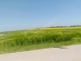 tekirdağ ergene mah misininli harika konumda imarlı arsa