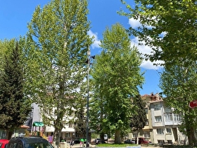 sahibinden satılık daire