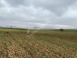 t c ziraat bankasi as hurriyet emlak