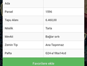 Rolyef Mi Marlik Hurriyet Emlak