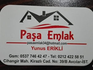 pasa emlak hurriyet emlak