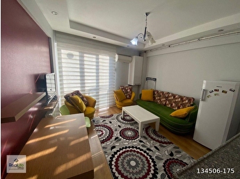 yeni büyük evlerin bekar kadınları chihuahua eskişehir genelevi