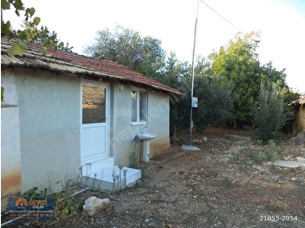 Tum Antalya Aksu Emlakcidan Ilanlari Fiyatlari Hurriyet Emlak