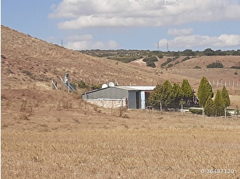 kizilinler mh satilik tarla fiyatlari ilanlari hurriyet emlak