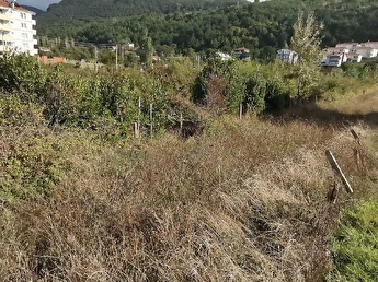cide emlakcidan arsa fiyatlari ilanlari hepsiemlak