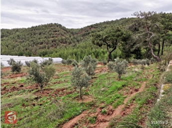 fethiye arsa tarla bahce fiyatlari ilanlari hepsiemlak