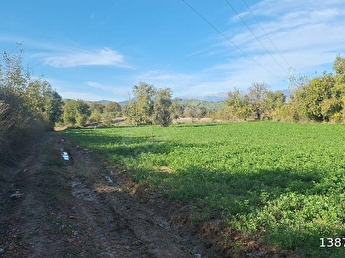 Seydikemer Girmeler mahallesinde yol sıkıntısı olmayan RIZAİ TAKSİMİ YAPILMIS
TARLA
