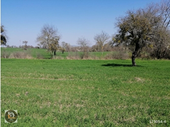 kiralik ciftlik fiyatlari ilanlari