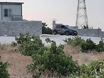 cevizli kurum asfalti ustunde 6417 m2 1 1 kontenyeri olan ustu kapali bag evi 126607 21 hepsiemlak