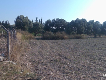 urla satilik arsa tarla bahce