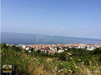 cinarcik koru arsa tarla bahce fiyatlari ilanlari hepsiemlak