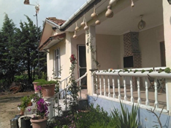 bross çorap