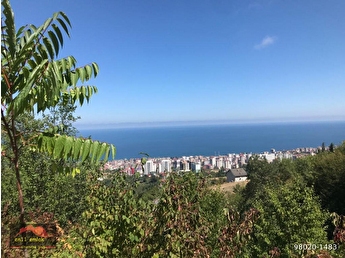Akcaabat Kirsal Mahalle Satilik Imarli Konut Fiyatlari Ilanlari Hurriyet Emlak