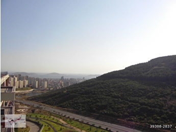 Maltepe Basibuyuk Mh Satilik Daire Fiyatlari Ilanlari Hurriyet Emlak
