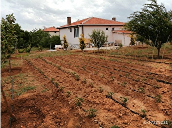 kirsehir sevdigin koyunde tapulu mustakil ev 0 37225231 hepsiemlak