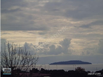 Kartal Dragos Satilik Daire Fiyatlari Ilanlari Hurriyet Emlak