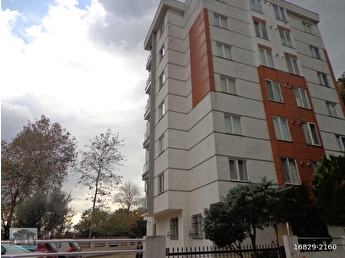 Kartal Dragos Satilik Daire Fiyatlari Ilanlari Hurriyet Emlak