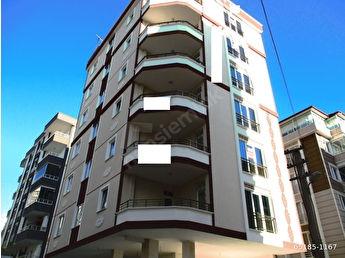Samsun Emlakcidan 3 1 Daire Fiyatlari Ilanlari Hurriyet Emlak