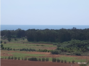 kiralik yazlik fiyatlari ilanlari