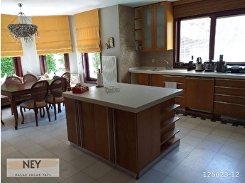 sariyer belde gunluk kiralik villa fiyatlari ilanlari hepsiemlak