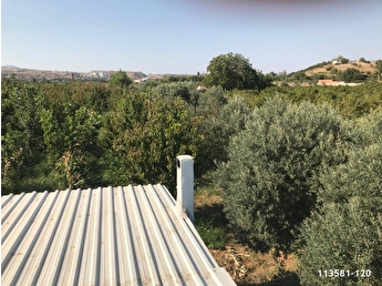 Kemalpasa Kirsal Mahalle Satilik Arsa Tarla Bahce Fiyatlari Ilanlari Hurriyet Emlak