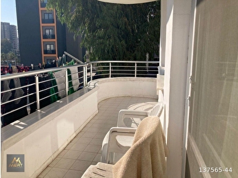 porni yıldızları zenci arap porno