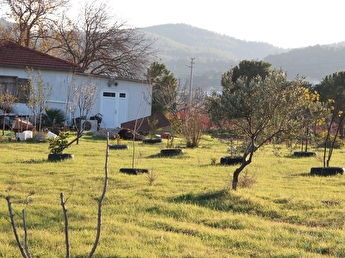 urla birgi koyunde satilik tarla cesme yoluna yakin 10 47o m2 i 114115 515 hepsiemlak