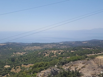 Canakkale Ayvacik 3 1 Satilik Villa Fiyatlari Ilanlari Hurriyet Emlak