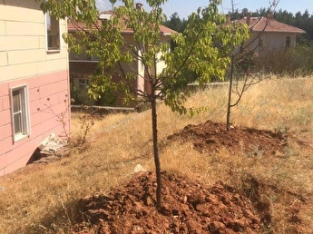 Kahramanmaras Satilik Konut Ev Fiyatlari Hurriyet Emlak