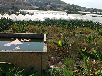 Alanya Kirsal Mahalle Emlakcidan Satilik Arsa Fiyatlari Ilanlari Hurriyet Emlak