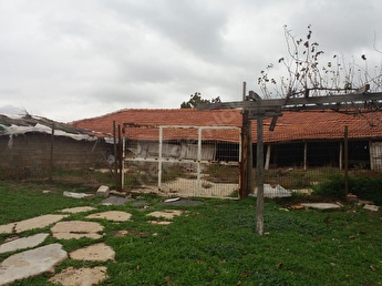 Tekirdag Satilik Ciftlik Fiyatlari Ilanlari Hurriyet Emlak