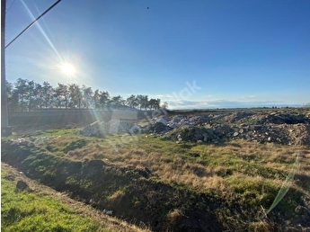 mahallesi nde tarla 87791 267800