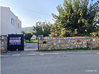 Bodrum Diger Kiralik Mustakil Ev Fiyatlari Ilanlari Hurriyet Emlak