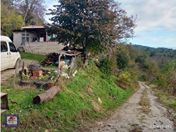 ordu persembe saray mh satilik onbir donum ev findik bahcesi 120619 342 hepsiemlak