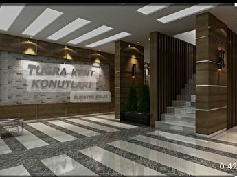 Dizi deals for sale