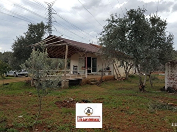 Duaci Mh Satilik Bahce Fiyatlari Ilanlari Hurriyet Emlak