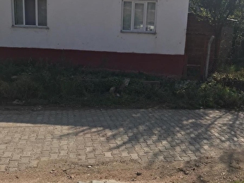 Mustafakemalpasa Satilik Konut Ev Fiyatlari Hurriyet Emlak
