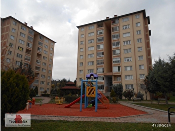 insanlarla tanış pc zerrin egeliler tek parça