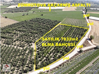 Elmali Zumrutova Mh Satilik Bahce Fiyatlari Ilanlari Hurriyet Emlak