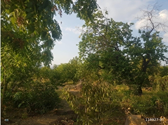 Icme Hazar Golu Mh Arsa Tarla Bahce Fiyatlari Ilanlari Hurriyet Emlak