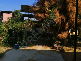 Aydın Köşk Satılık Ev