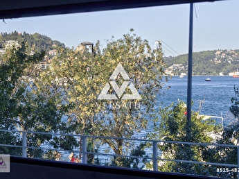 Bebek Teki Yilanli Yali Nin Ilginc Hikayesi Ayse Fugen Arda Kisisel Blogu
