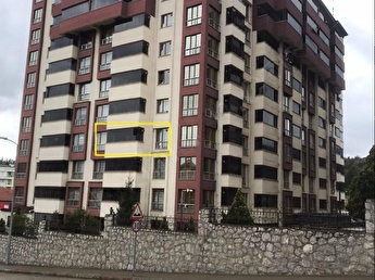 domuz gribi slogan mlp porn