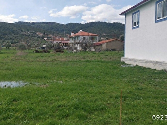 hurriyet emlak